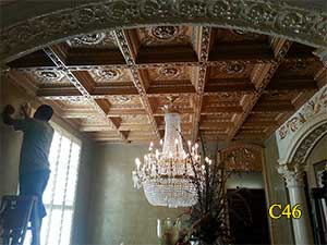 Architectural Ceiling and Medallions