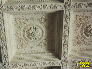 Architectural Ceiling and Medallions 46