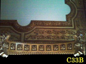 Architectural Ceiling and Medallions 48