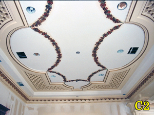 Architectural Ceiling and Medallions 2
