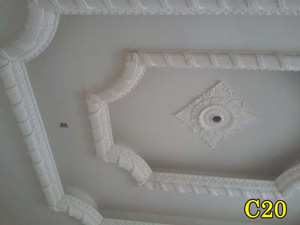 Architectural Ceiling and Medallions 33