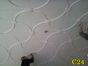 Architectural Ceiling and Medallions 40