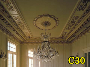 Architectural Ceiling and Medallions 44