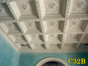 Architectural Ceiling and Medallions 50