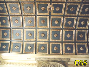 Architectural Ceiling and Medallions 51
