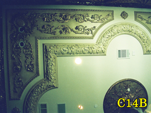 Architectural Ceiling and Medallions 15