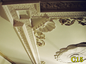 Architectural Ceiling and Medallions 16