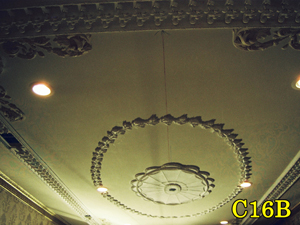 Architectural Ceiling and Medallions 18