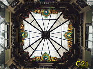 Architectural Ceiling and Medallions 23