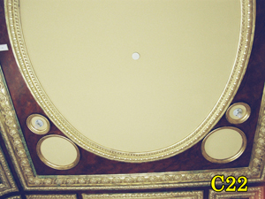 Architectural Ceiling and Medallions 24