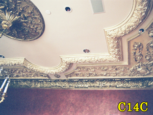 Architectural Ceiling and Medallions 25