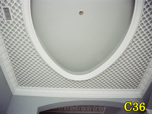 Architectural Ceiling and Medallions 28