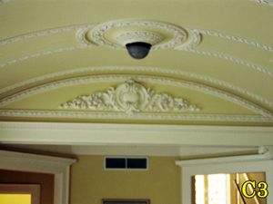 Architectural Ceiling and Medallions 3