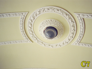 Architectural Ceiling and Medallions 7