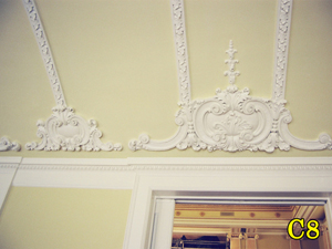 Architectural Ceiling and Medallions 8
