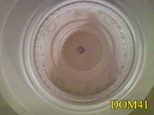 Plaster Ornamental Plaster Dome Ceiling
