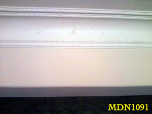 Plaster Crown Molding